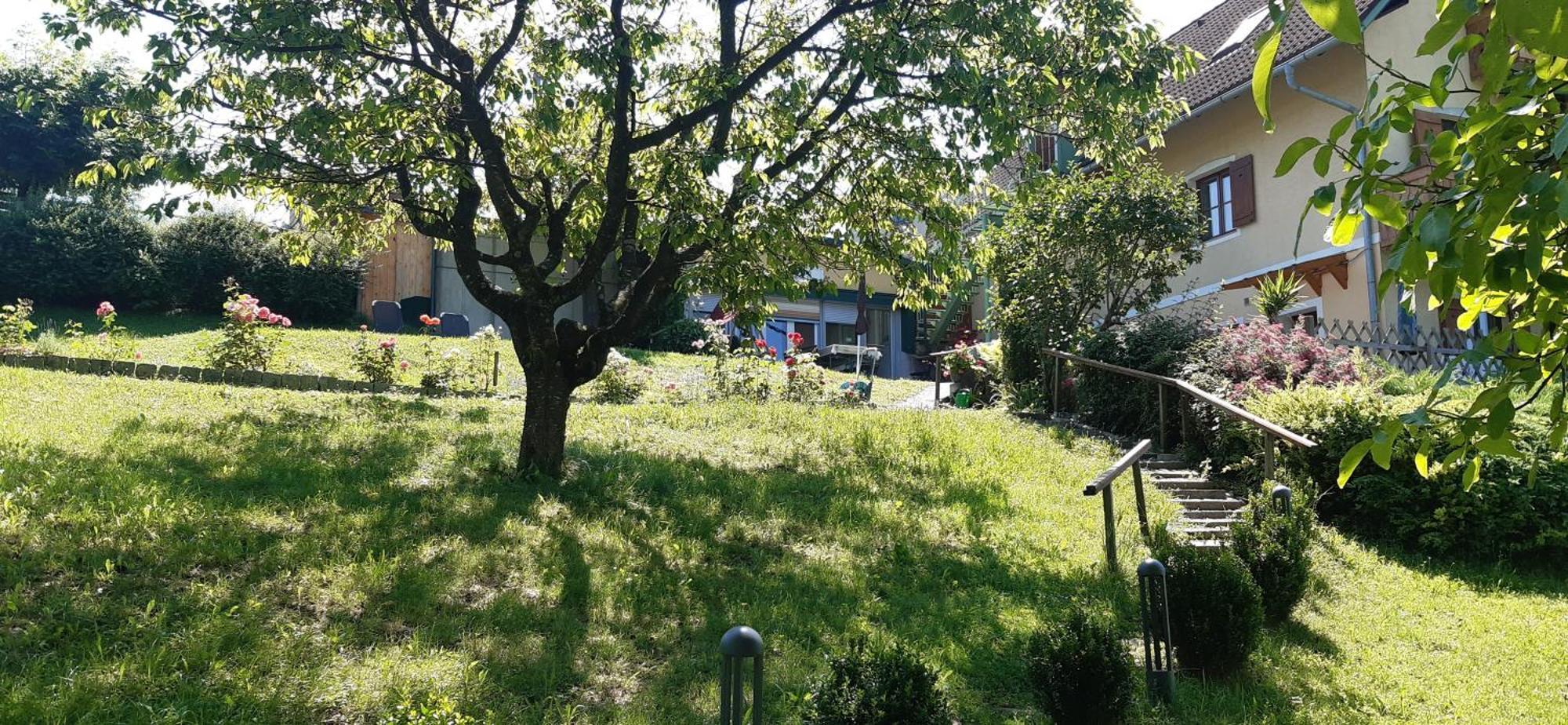 Ferienwohnungen Soravia Gamlitz Exteriör bild